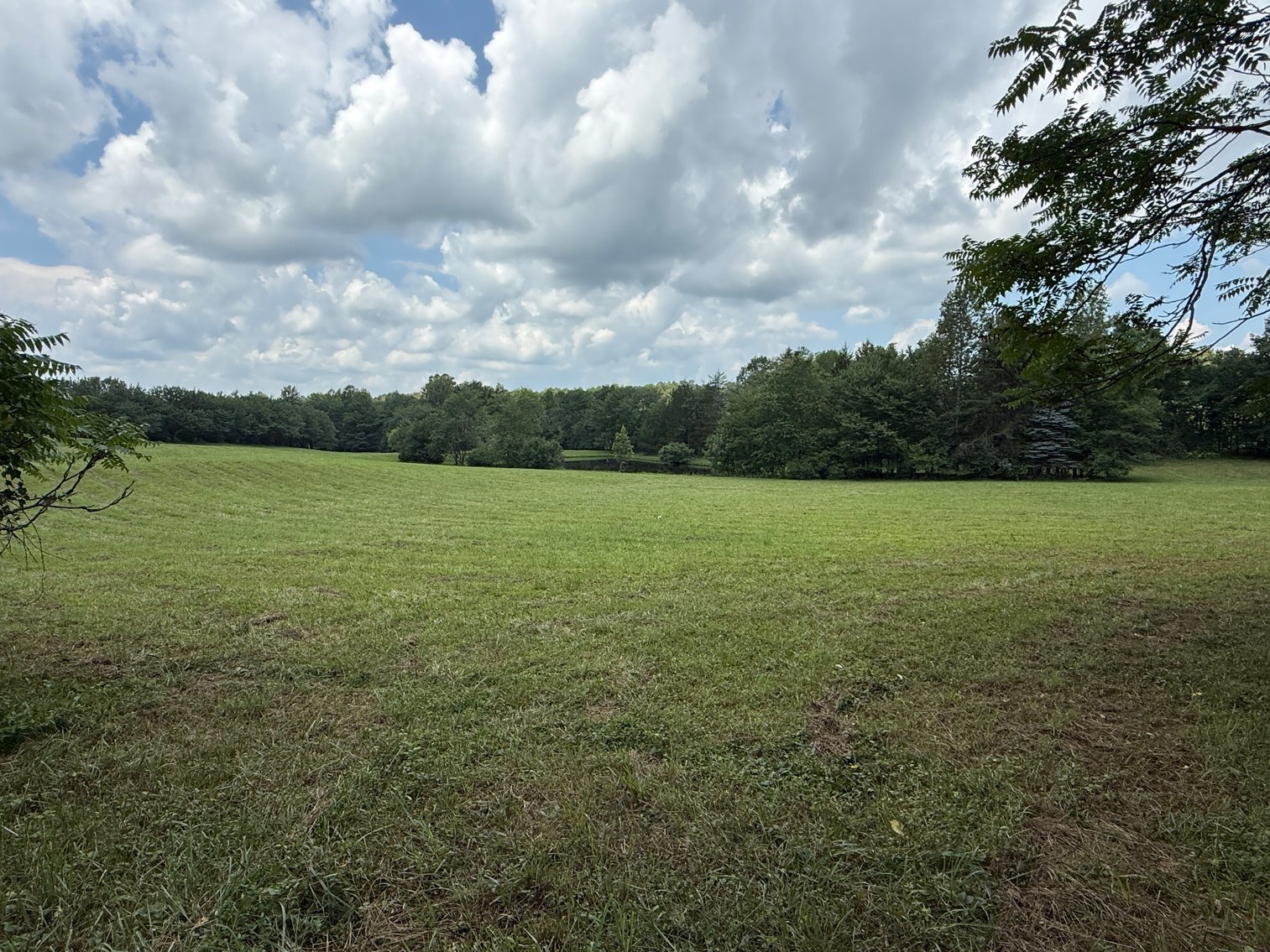 Image for 3 BR/3.5 BA Home w/Barn, Shop Building & Large Pond on 17.88 +/- Acres in Madison County, VA--SELLING to the HIGHEST BIDDER!!