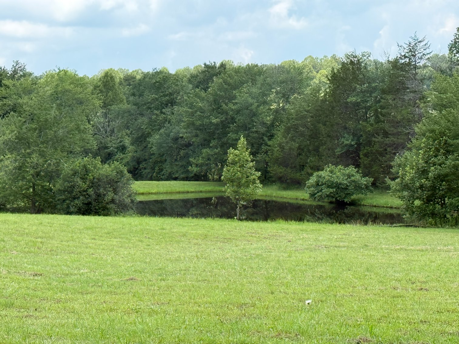 Image for 3 BR/3.5 BA Home w/Barn, Shop Building & Large Pond on 17.88 +/- Acres in Madison County, VA--SELLING to the HIGHEST BIDDER!!