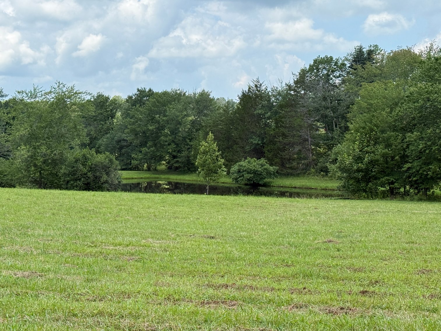 Image for 3 BR/3.5 BA Home w/Barn, Shop Building & Large Pond on 17.88 +/- Acres in Madison County, VA--SELLING to the HIGHEST BIDDER!!