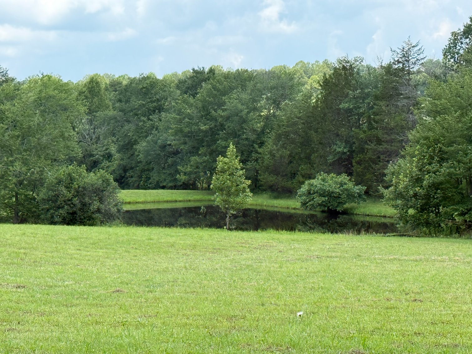 Image for 3 BR/3.5 BA Home w/Barn, Shop Building & Large Pond on 17.88 +/- Acres in Madison County, VA--SELLING to the HIGHEST BIDDER!!