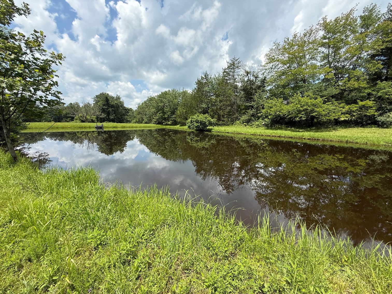 Image for 3 BR/3.5 BA Home w/Barn, Shop Building & Large Pond on 17.88 +/- Acres in Madison County, VA--SELLING to the HIGHEST BIDDER!!