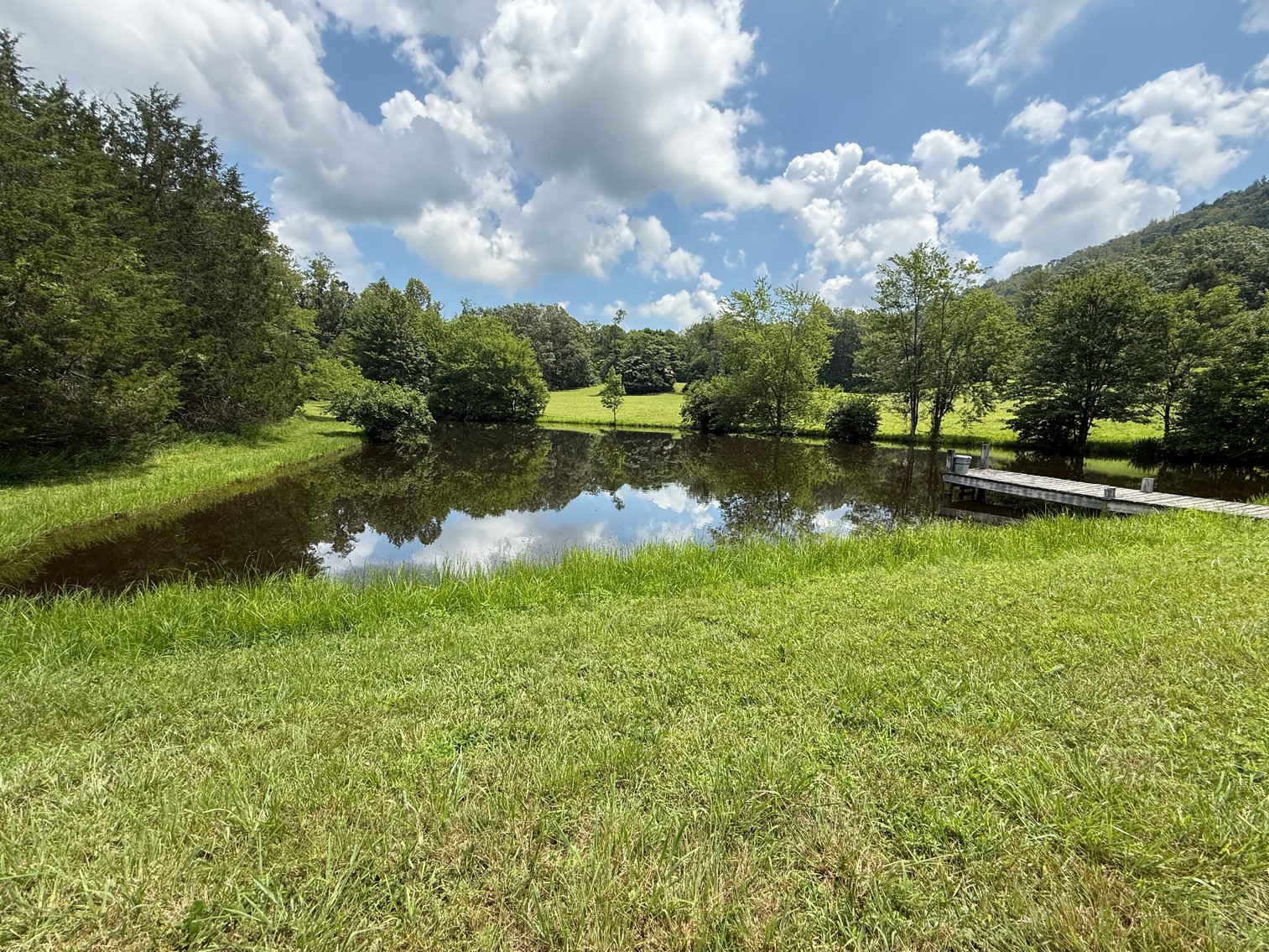 Image for 3 BR/3.5 BA Home w/Barn, Shop Building & Large Pond on 17.88 +/- Acres in Madison County, VA--SELLING to the HIGHEST BIDDER!!