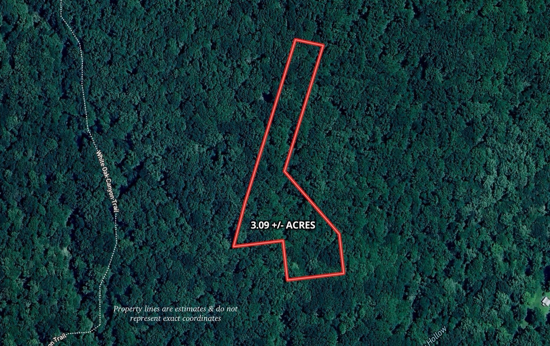 Image for 3.1 +/- Acre Wooded Building Lot w/Approved Drain Field Site Adjacent to Shenandoah National Park in Madison County, VA--ONLINE ONLY BIDDING!!