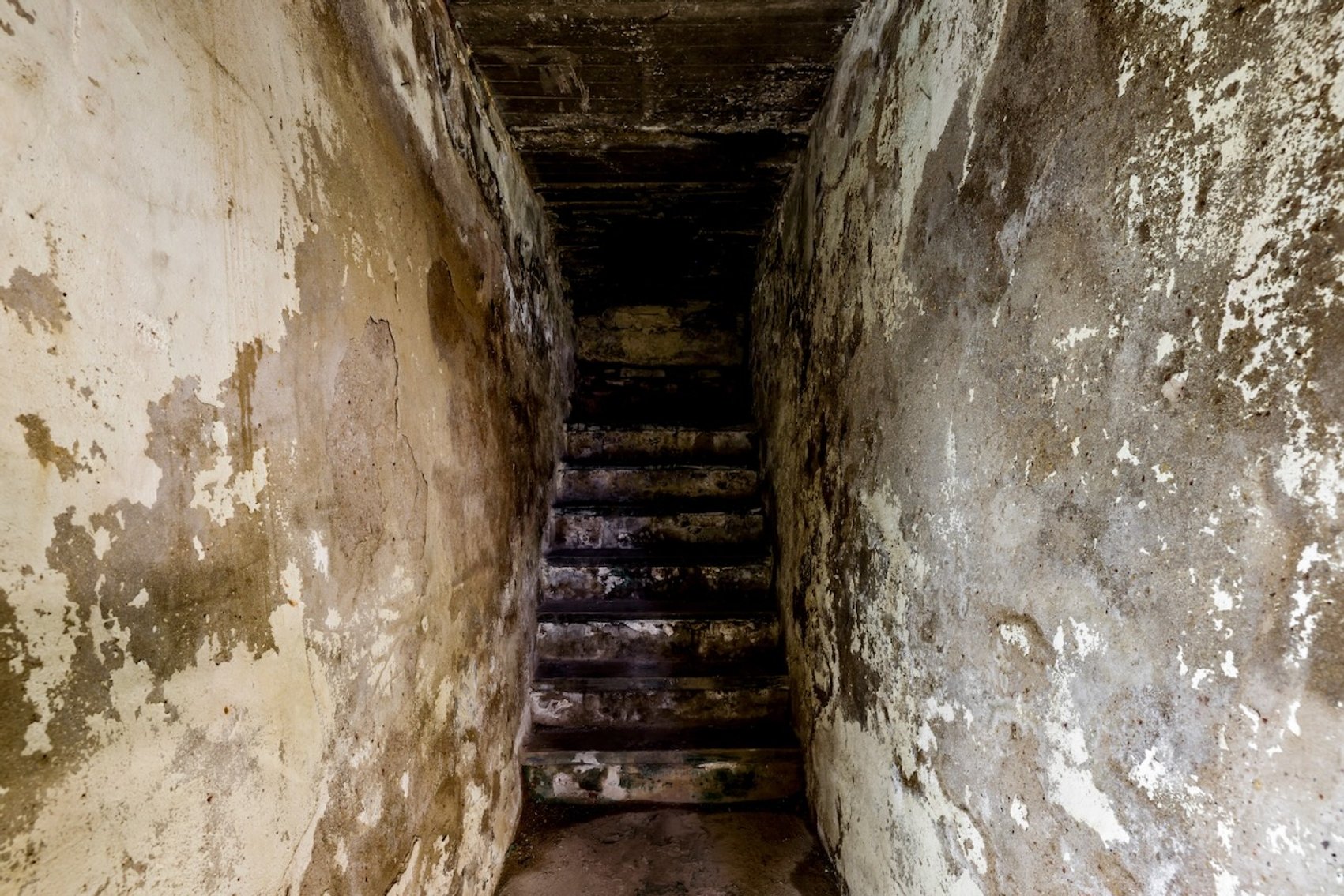 Image for The Historic 