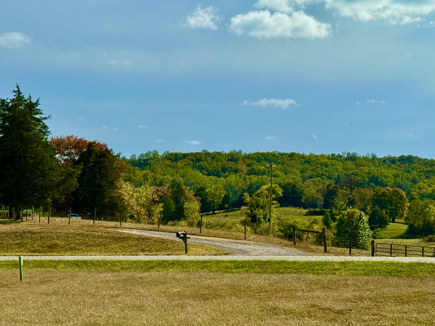 Image for 4 BR/2 BA Brick Ranch/Rambler Style Home w/Basement on 1.49 +/- Acres--Madison County, VA