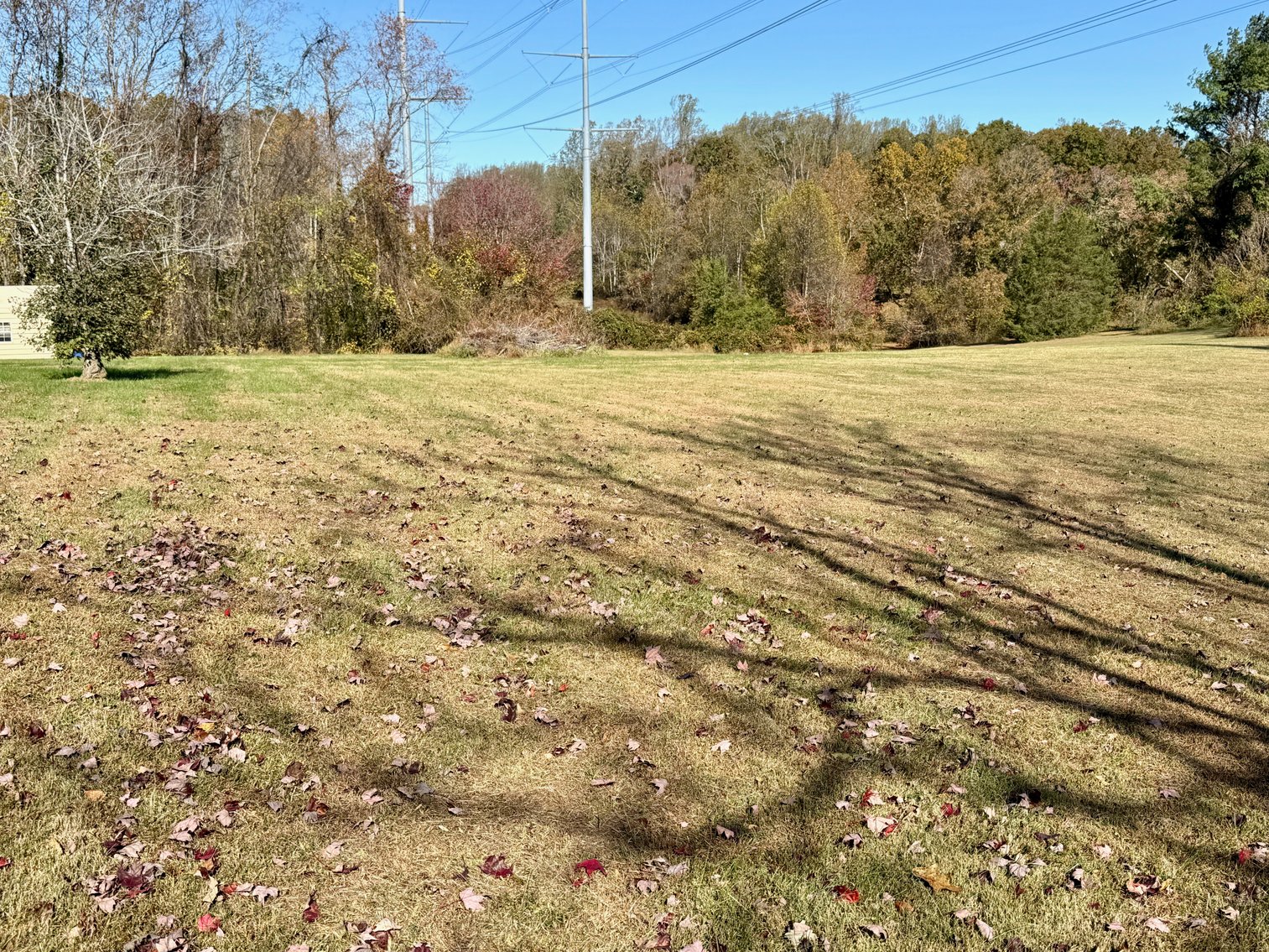 Image for 5 BR/3 BA Home w/Pool & Several Outbuildings on 1.9 +/- Acres in Culpeper. County, VA