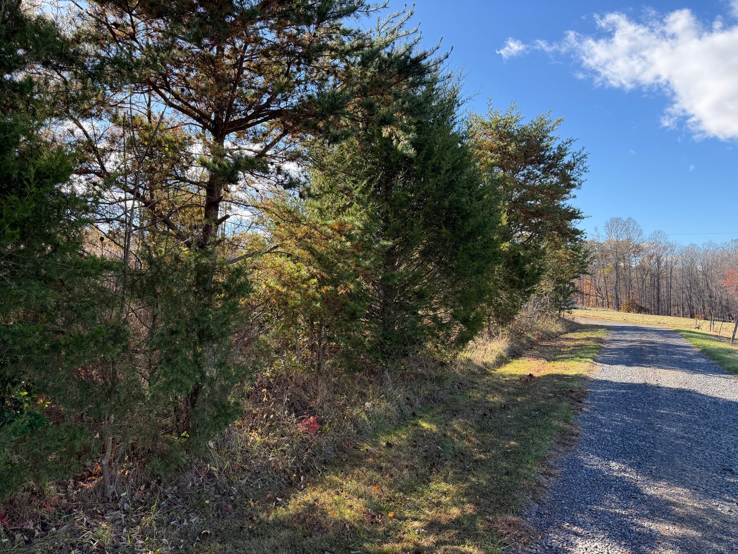 Image for 5.2 +/- Acre Mostly Wooded Building/Estate Lot in Orange County, VA--SELLING to the HIGHEST BIDDER via ONLINE ONLY BIDDING!!