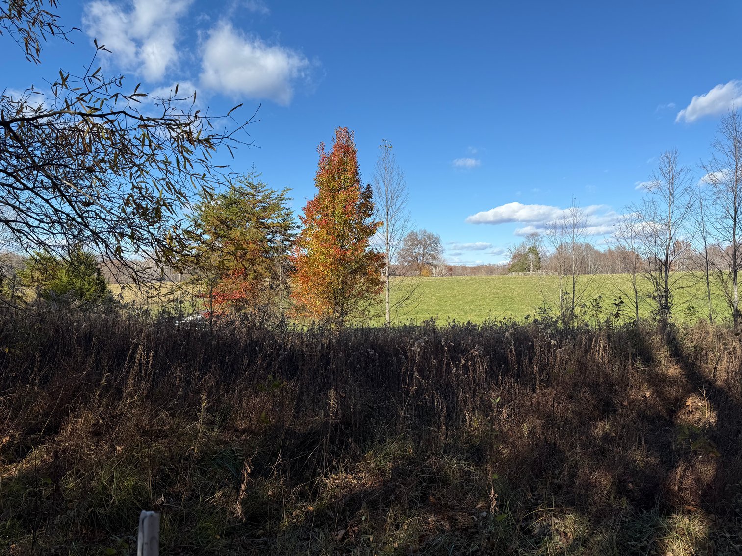 Image for 5.2 +/- Acre Mostly Wooded Building/Estate Lot in Orange County, VA--SELLING to the HIGHEST BIDDER via ONLINE ONLY BIDDING!!