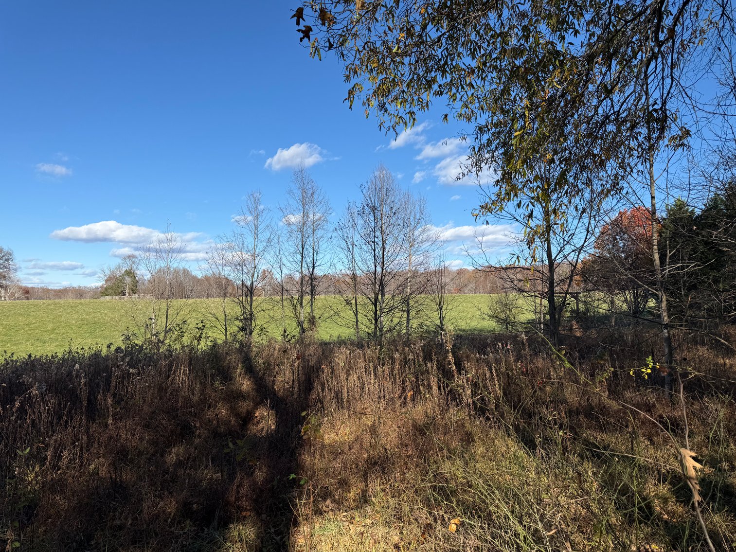 Image for 5.2 +/- Acre Mostly Wooded Building/Estate Lot in Orange County, VA--SELLING to the HIGHEST BIDDER via ONLINE ONLY BIDDING!!