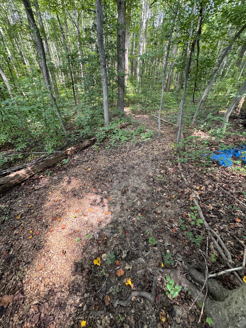 Image for 3 BR/2 BA Home w/Finished Walk-Out Basement & 2 Large Detached Garages on 2 +/- Acres--Fauquier County, VA