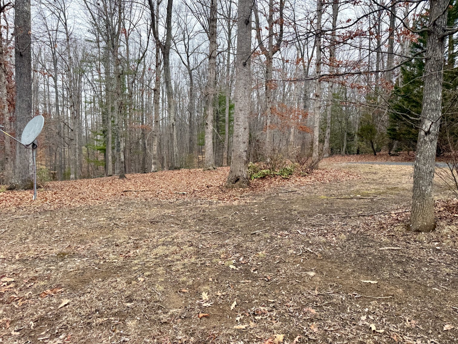 Image for 4 BR/3 BA Custom Built Home w/Basement on 5.2 +/- Acres in Madison County, VA