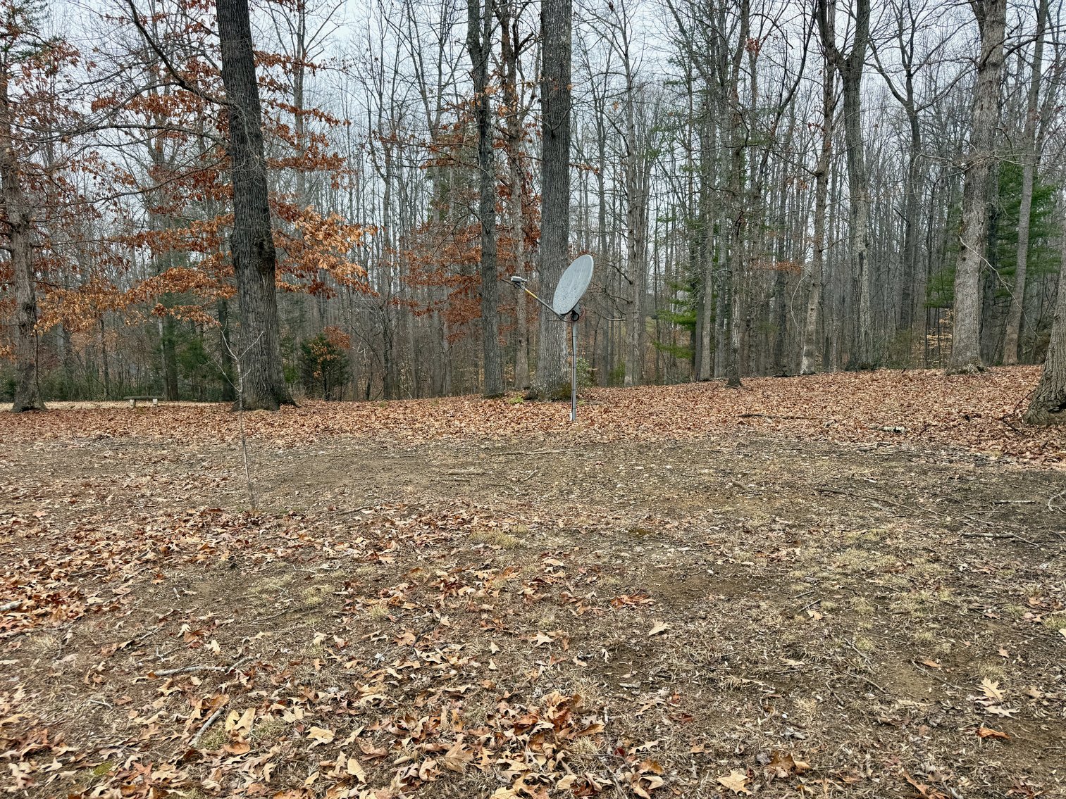 Image for 4 BR/3 BA Custom Built Home w/Basement on 5.2 +/- Acres in Madison County, VA