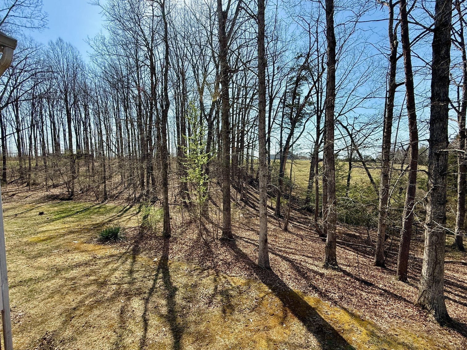 Image for 4 BR/3 BA Custom Built Home w/Basement on 5.2 +/- Acres in Madison County, VA