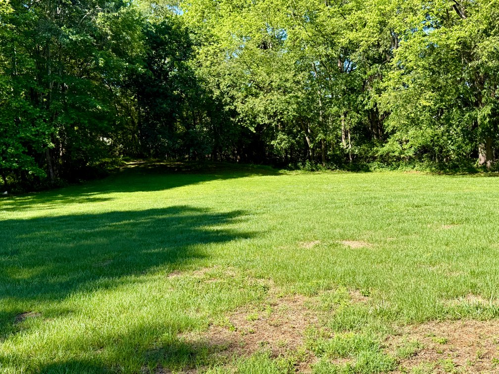 Image for 4 BR/2.5 BA Home w/Walk-Out Basement & Attached Garage on 1.73 +/- Acres--Culpeper County, VA