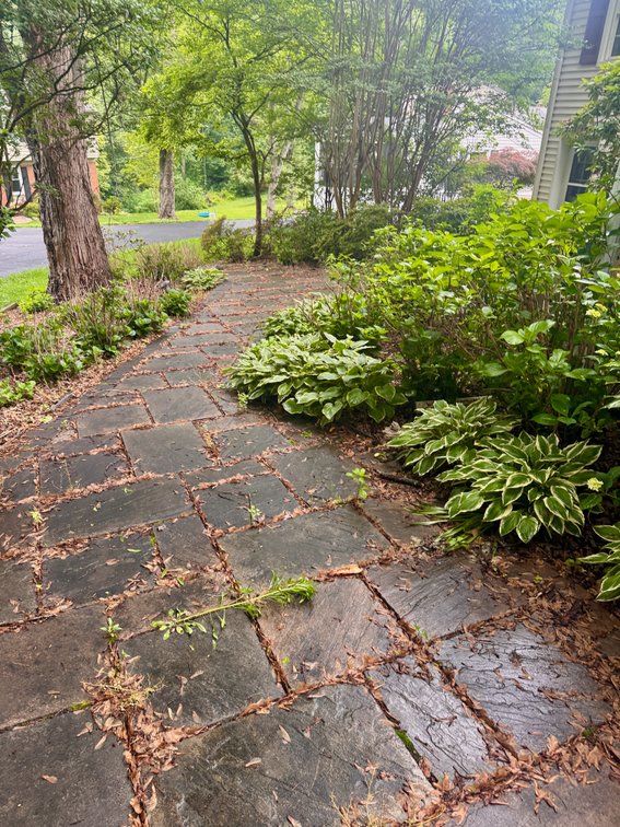 Image for 4 BR/2.5 BA Home on Cul-de-Sac Street in the Established Saratoga Neighborhood of Fairfax County, VA