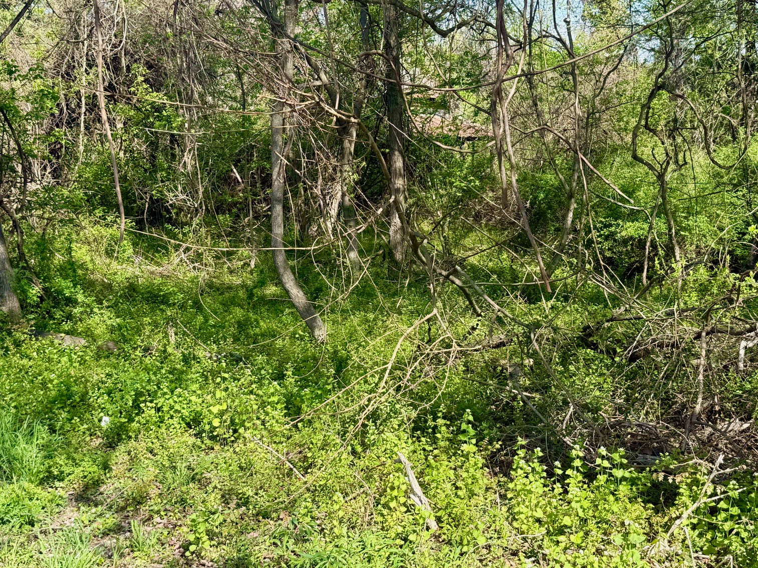 Image for 2.1 +/- Acre Wooded Corner Building Lot in Loudoun County, VA