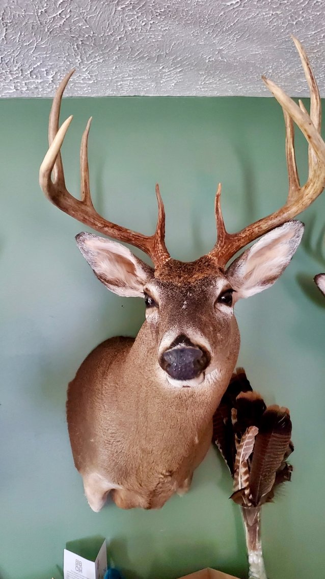 Image for 4 BR/6 BA Home w/Horse Barn, Fencing, Detached Work Shop, Garage & Storage Buildings on 30.8 +/- Acres in Halifax County, VA--SELLING to the HIGHEST BIDDER!!