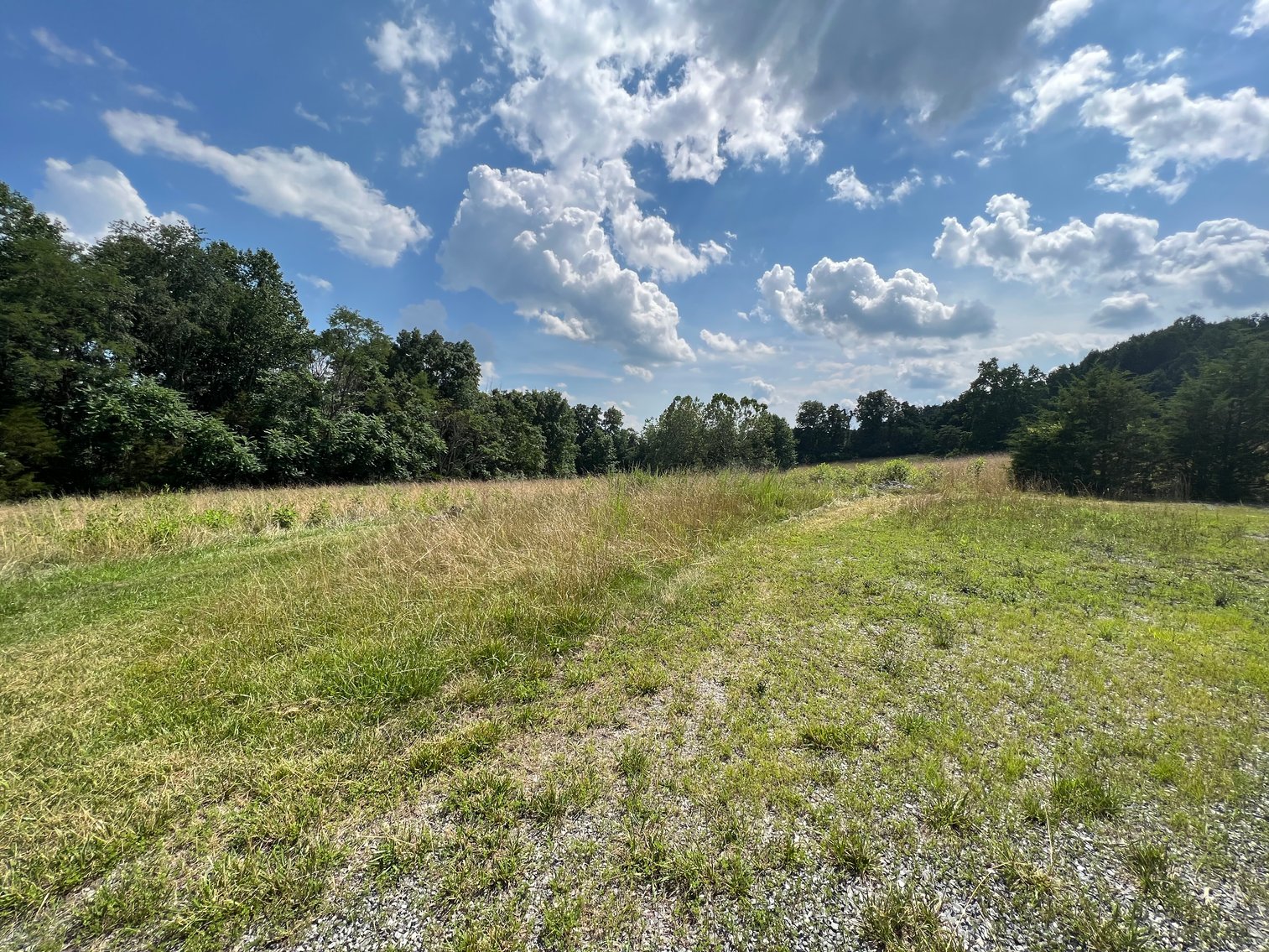 Image for Public Trustee Sale | (6) Building Lots in Eco-Friendly Greenway Subdivision | .5± AC Per Lot | Beautiful Mountain Views | Near Lexington, VA in Buena Vista