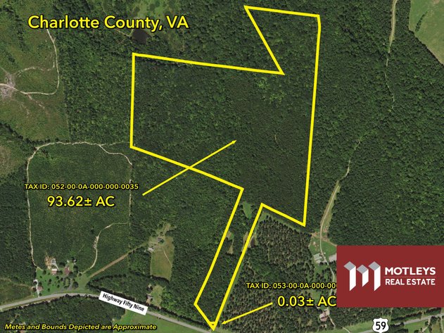 Image for SOLD! Public Auction | 93.65± AC of Marketable Timber in Charlotte County, VA | Off State Highway 59 | Offered By the Acre | Between the Towns of Keysville & Drakes Branch, VA