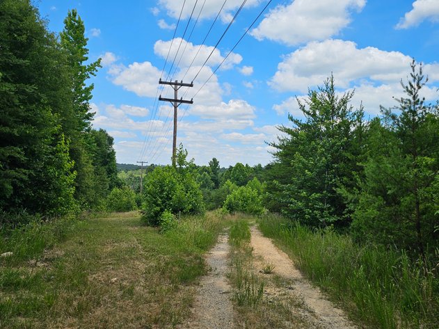 Image for SOLD! | Public Auction | Estate Settlement | Day 1 – Live & Online | Buildable Residential Lot | 39.72± AC | Zoned SRR | Woodlawn Drive | City of Danville, VA