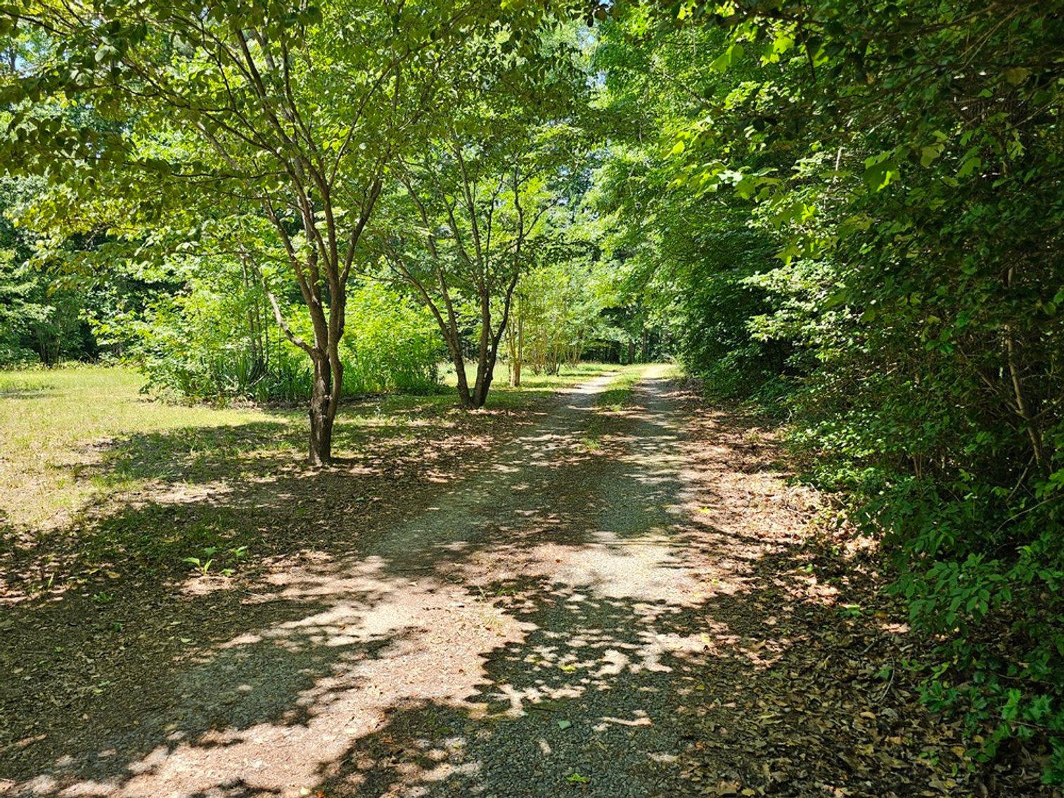 Image for Public Trustee Auction | 3 BR/2 BA Rancher on 5± AC | 1,456± SF | Zoned A-2 | 1473 Chestnut Grove Lane | Heathsville, VA