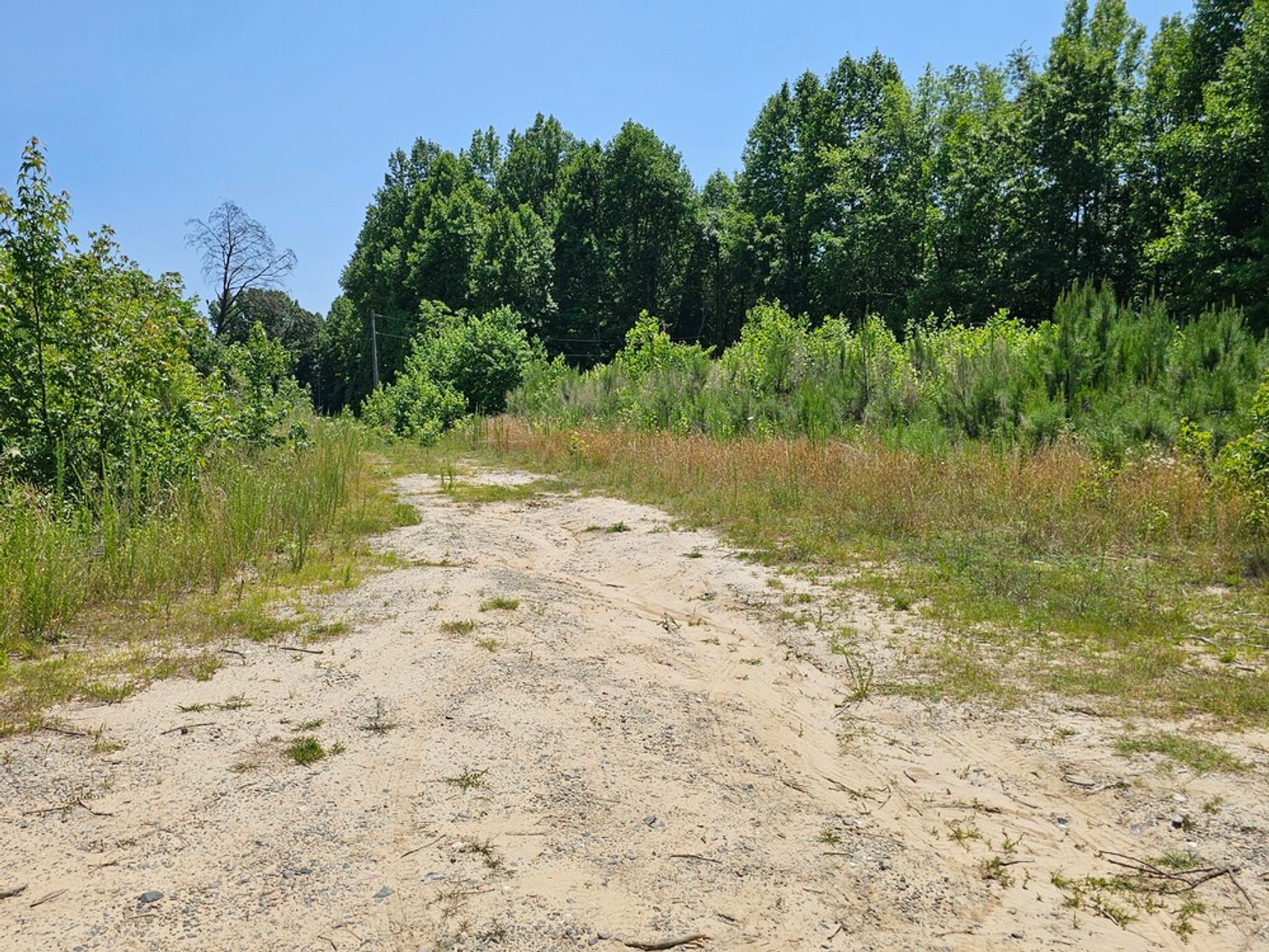 Image for Public Trustee Auction | 3 BR/2 BA Rancher on 5± AC | 1,456± SF | Zoned A-2 | 1473 Chestnut Grove Lane | Heathsville, VA