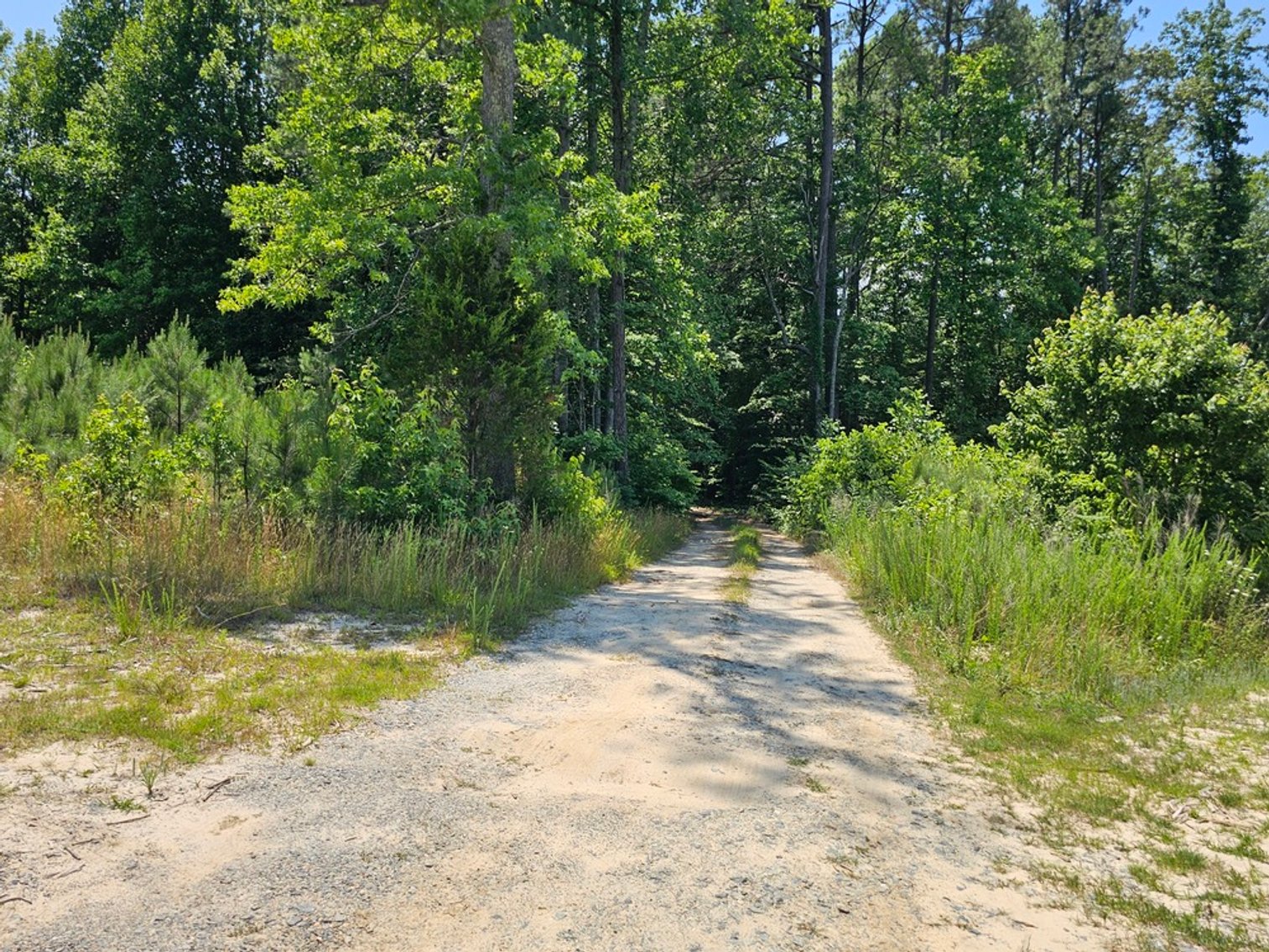Image for Public Trustee Auction | 3 BR/2 BA Rancher on 5± AC | 1,456± SF | Zoned A-2 | 1473 Chestnut Grove Lane | Heathsville, VA