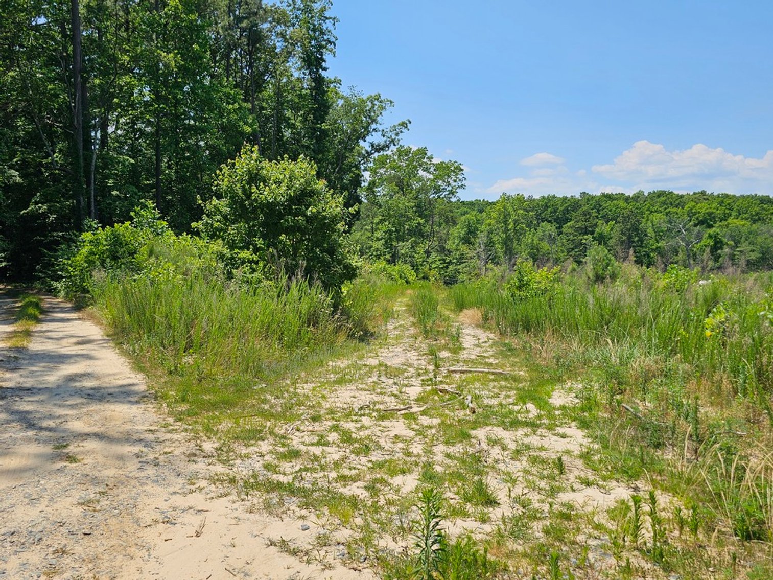 Image for Public Trustee Auction | 3 BR/2 BA Rancher on 5± AC | 1,456± SF | Zoned A-2 | 1473 Chestnut Grove Lane | Heathsville, VA