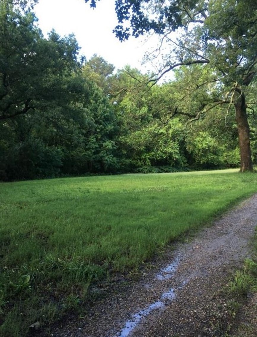 Image for Public Auction | Countdown to Closing Event | 8.58± AC Vacant Lot | Single-Family Residential Subdivision Potential | 3211 Rear Scottdale Street | Richmond, VA | 23234 | Sale 1 of 2 | Online Only