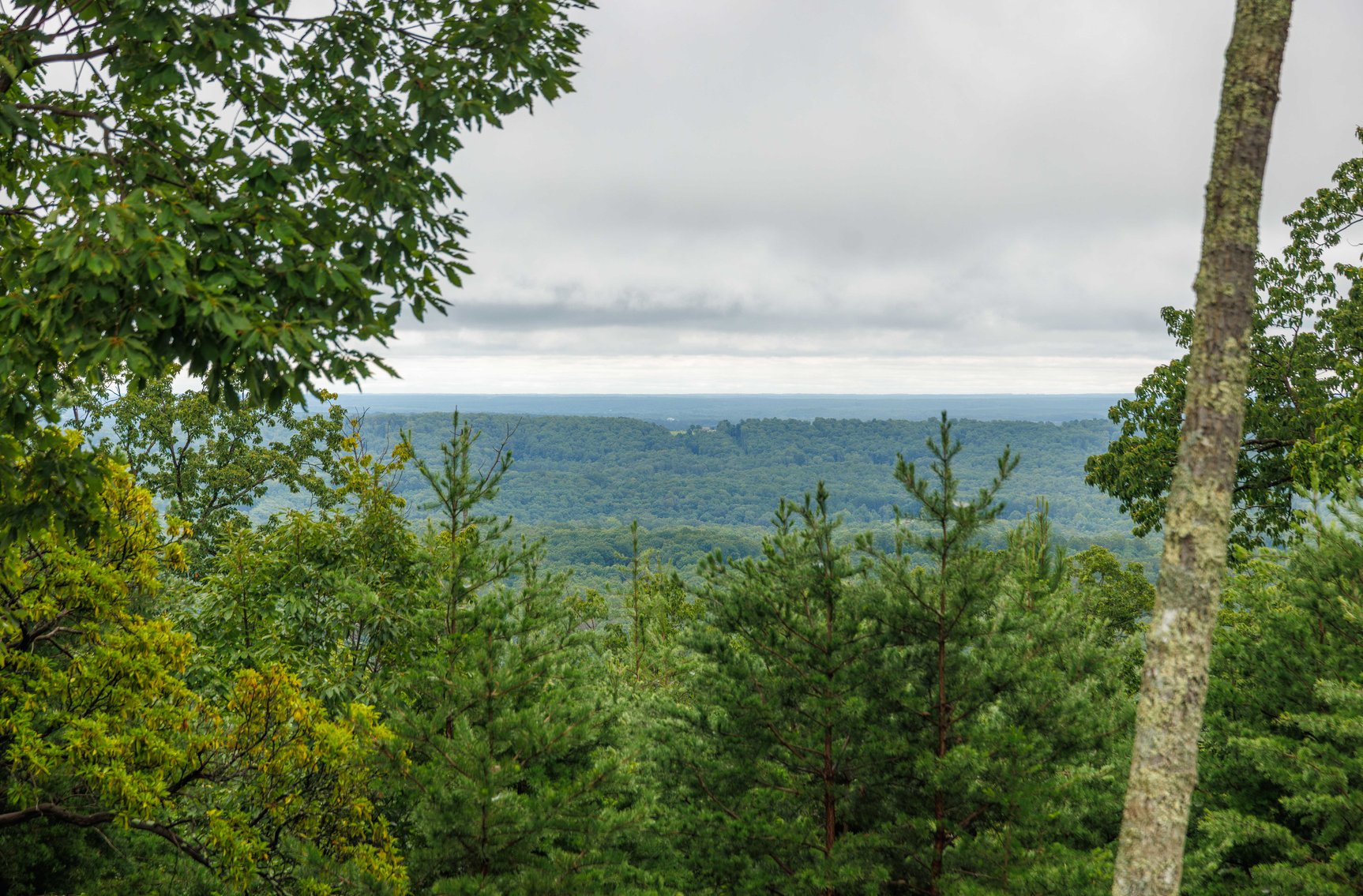 Image for Public Auction | Last Parcel! | 347± Acres of Premier Hunting & Recreational Land | Build Your Dream Home with Scenic Mountain Overlook | Close Proximity to Charlottesville | Appleberry Farm in Albemarle County, VA