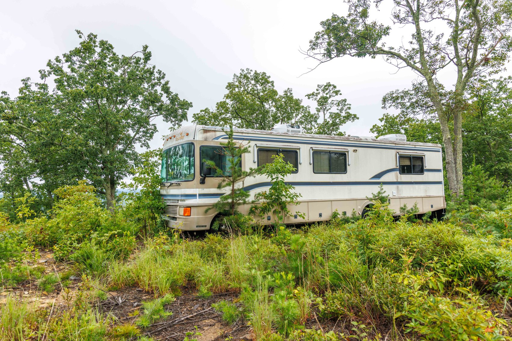 Image for Public Auction | Last Parcel! | 347± Acres of Premier Hunting & Recreational Land | Build Your Dream Home with Scenic Mountain Overlook | Close Proximity to Charlottesville | Appleberry Farm in Albemarle County, VA