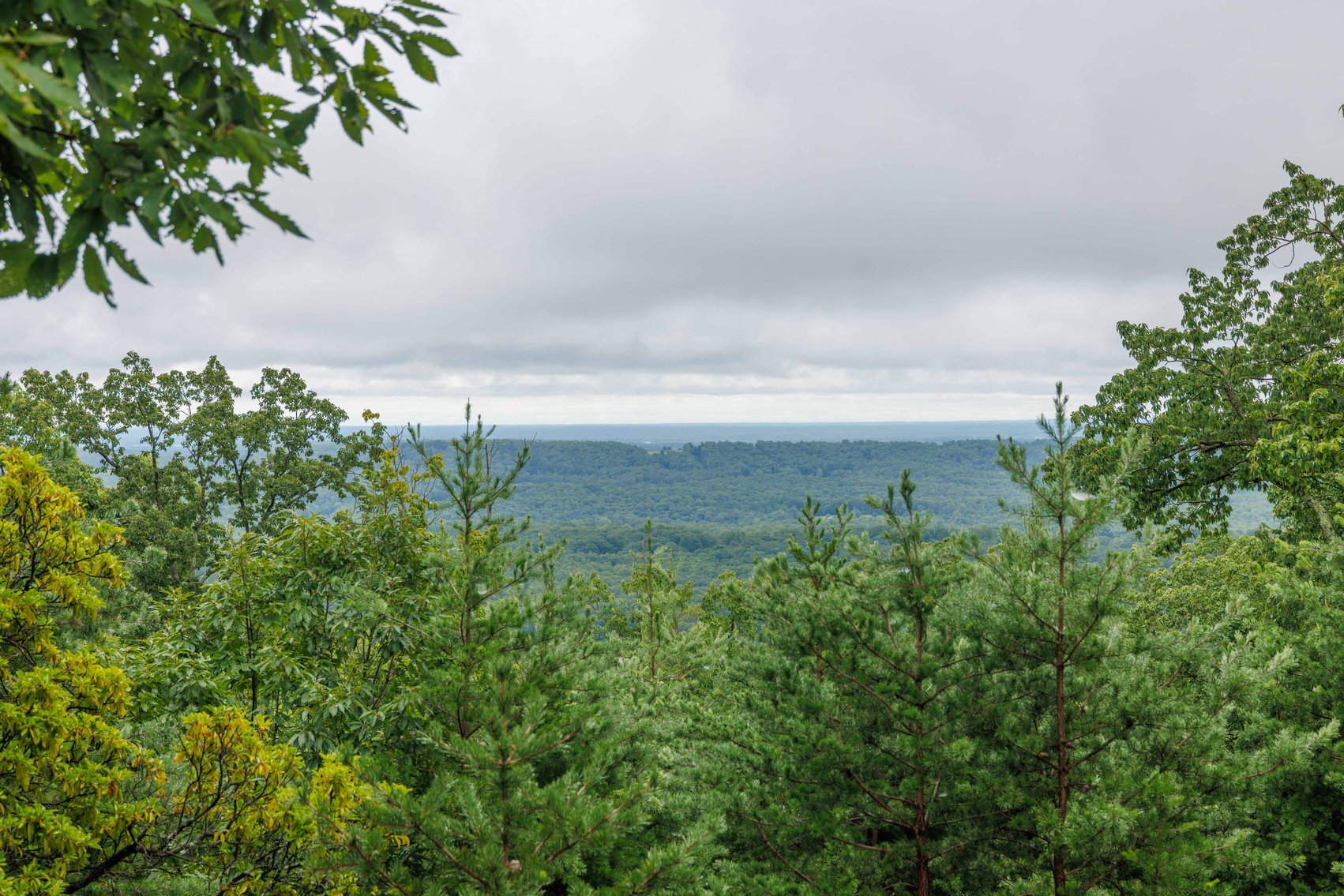 Image for Public Auction | Last Parcel! | 347± Acres of Premier Hunting & Recreational Land | Build Your Dream Home with Scenic Mountain Overlook | Close Proximity to Charlottesville | Appleberry Farm in Albemarle County, VA