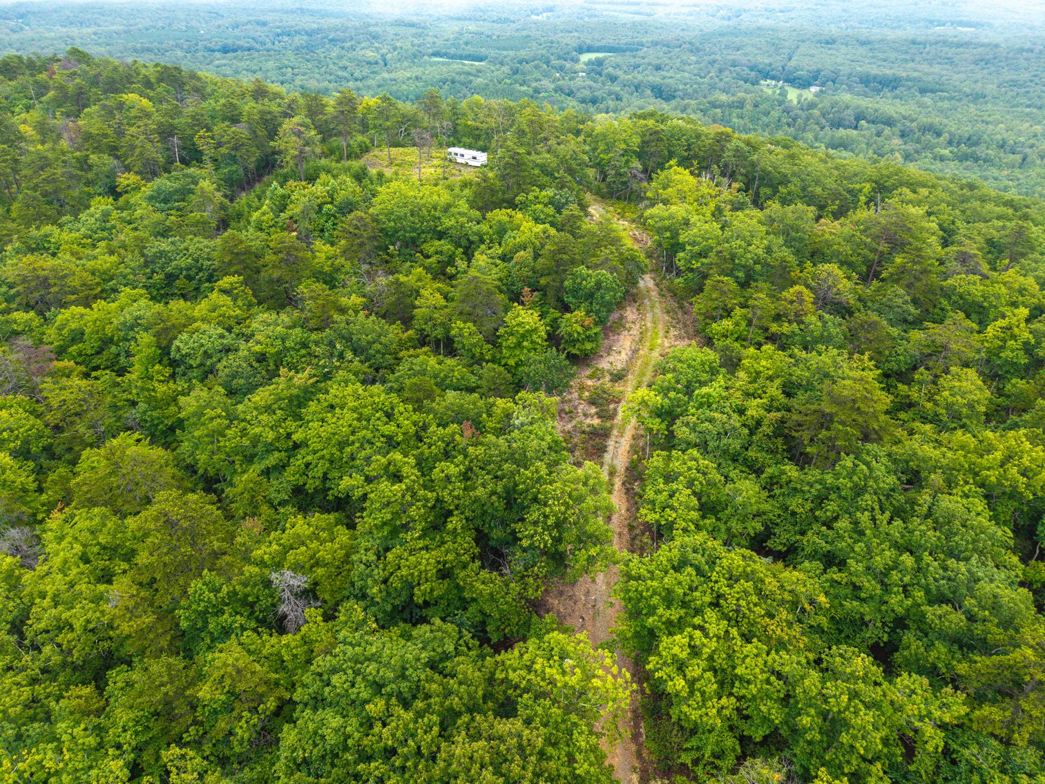 Image for Public Auction | Last Parcel! | 347± Acres of Premier Hunting & Recreational Land | Build Your Dream Home with Scenic Mountain Overlook | Close Proximity to Charlottesville | Appleberry Farm in Albemarle County, VA
