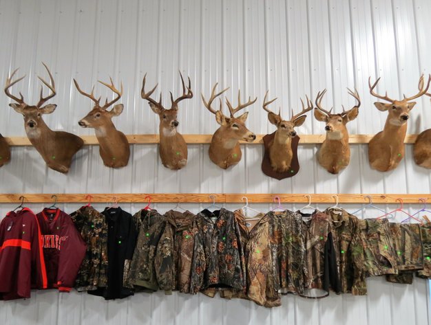 Image for Taxidermy (Tom Glover Collection), Ammo, Hunting