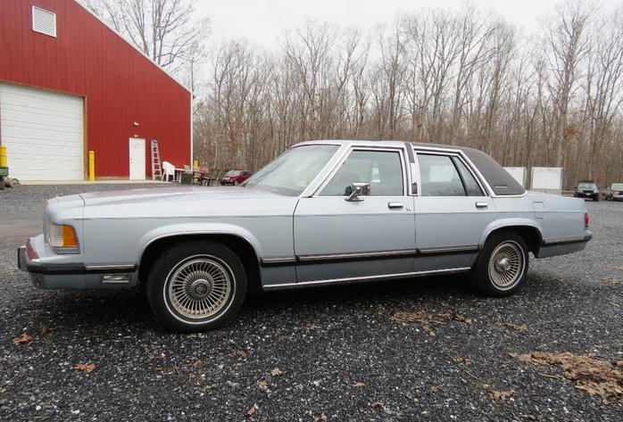 Image for Cold Springs Gallery