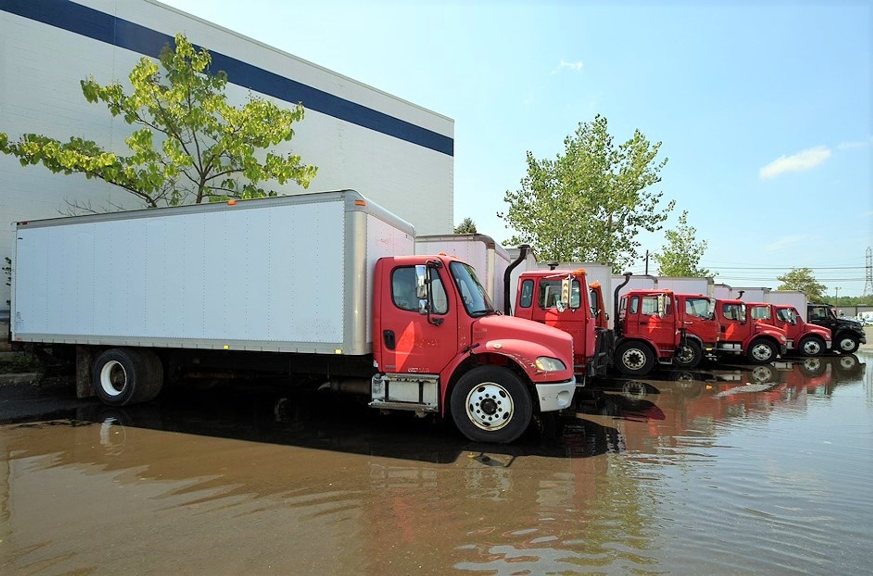 Image for Box Trucks, Truck Tractor & Forklift