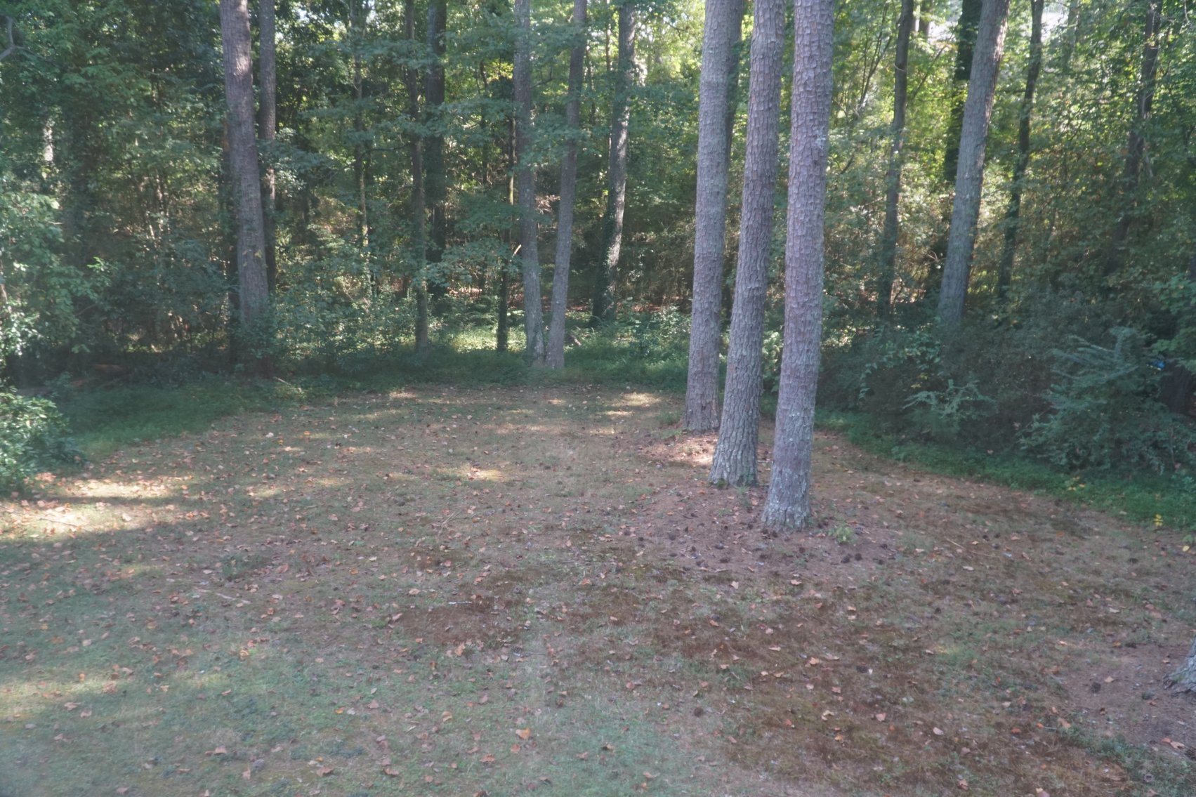 Image for Tucker GA: 3BR/ 2BA at 1456 Drayton Woods Dr. Tucker, GA 30084 (DeKalb County)