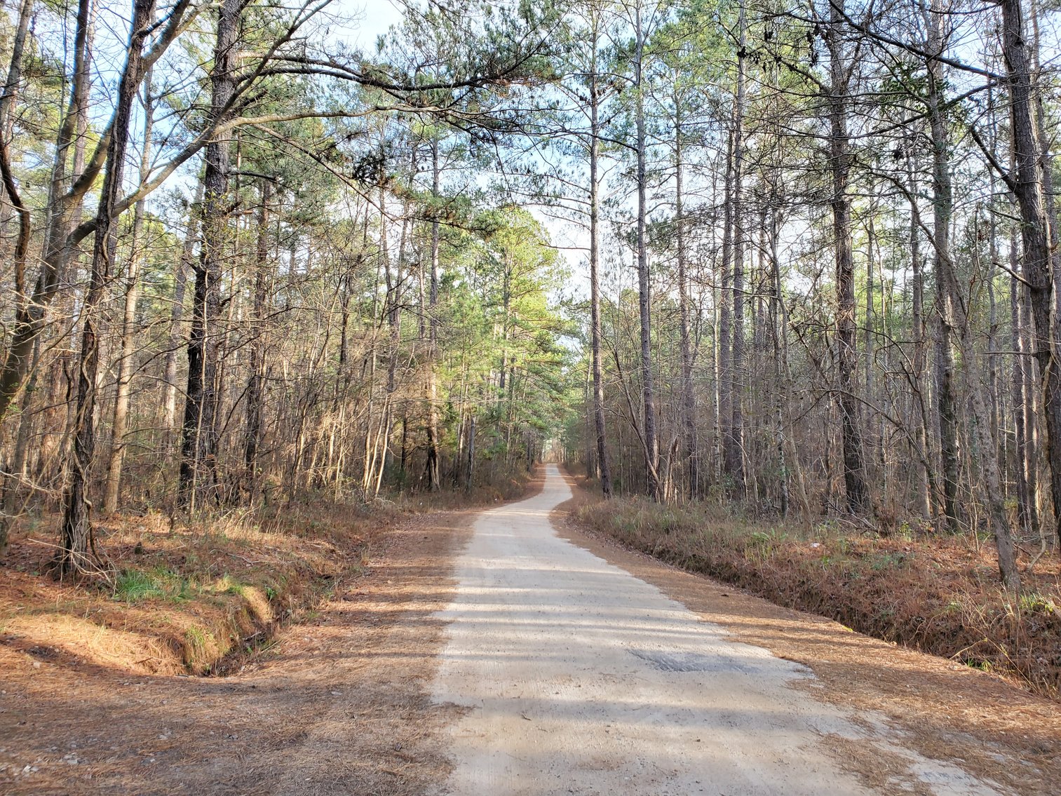 Image for Warm Springs, GA: 3BR/1BA Restored Farmhouse and 2BR/1.5BA Custom Log Cabin on 68.4± Acres at 1101 & 1103 Hudson Rd, Warm Springs, GA 30084  (Meriwether County)