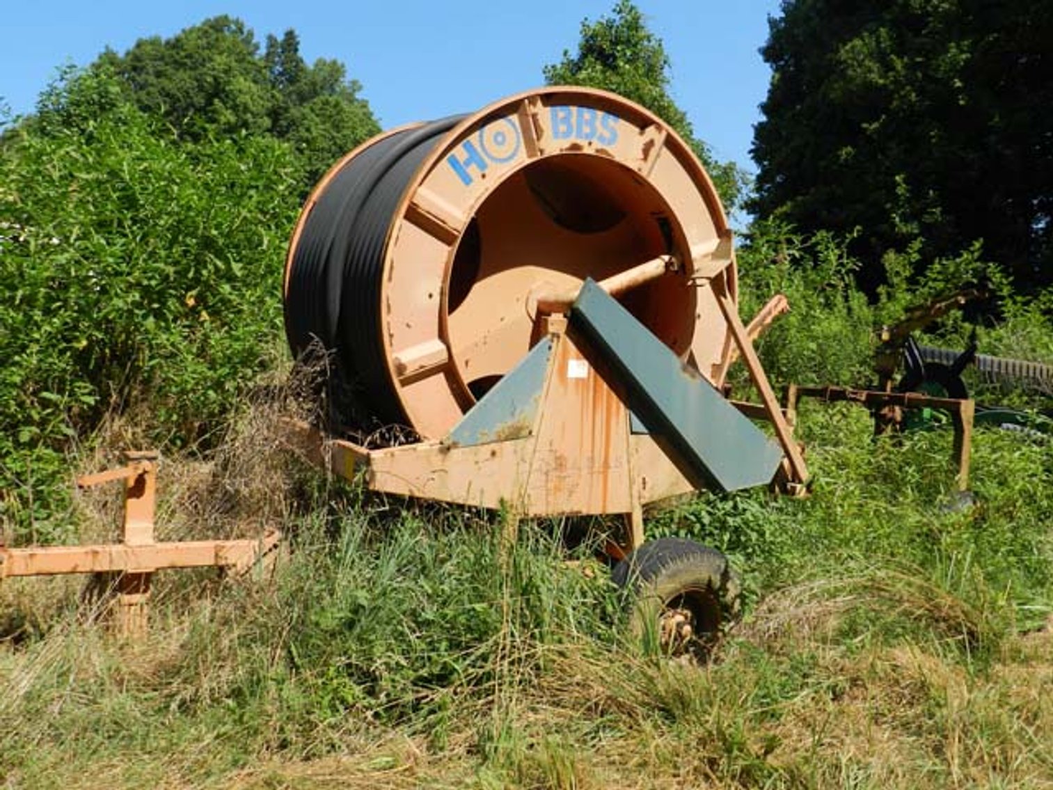 Image for Kallam Fams