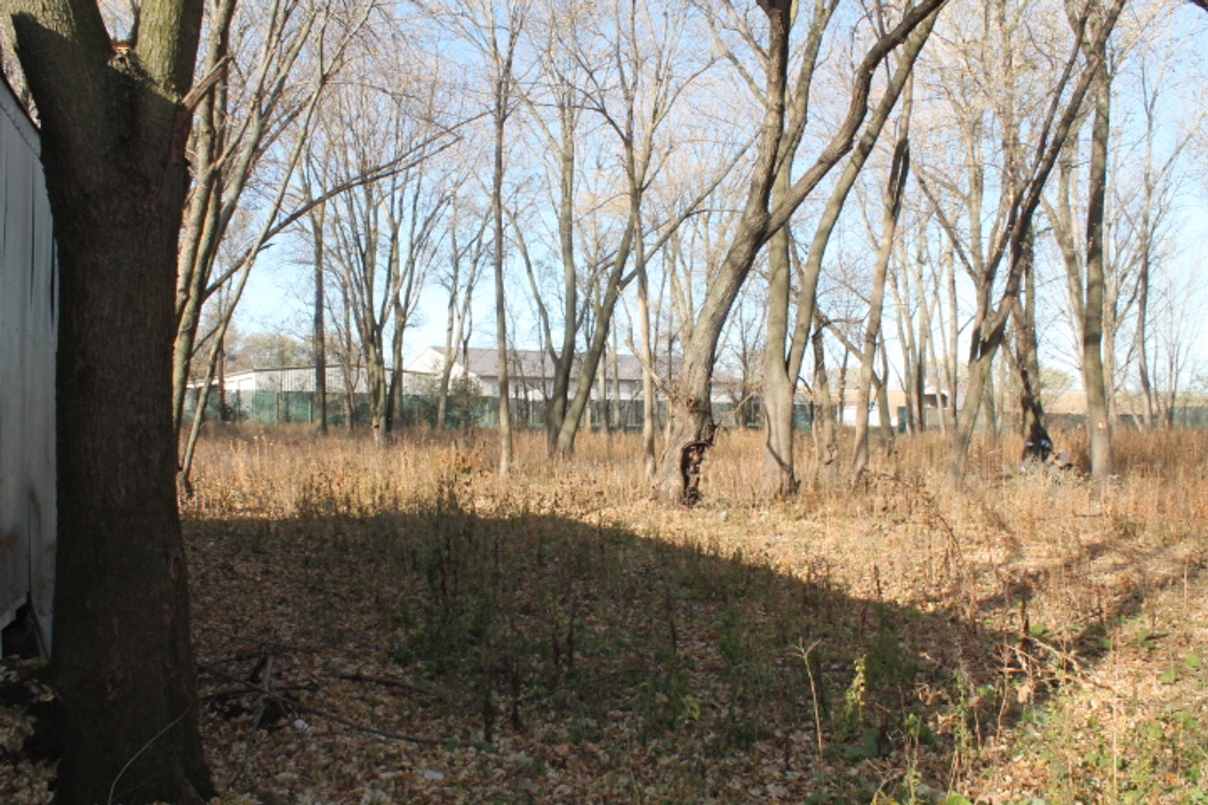 Image for Lake View, Iowa Homes & Large Lot