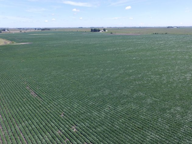 Image for Land Auction Results