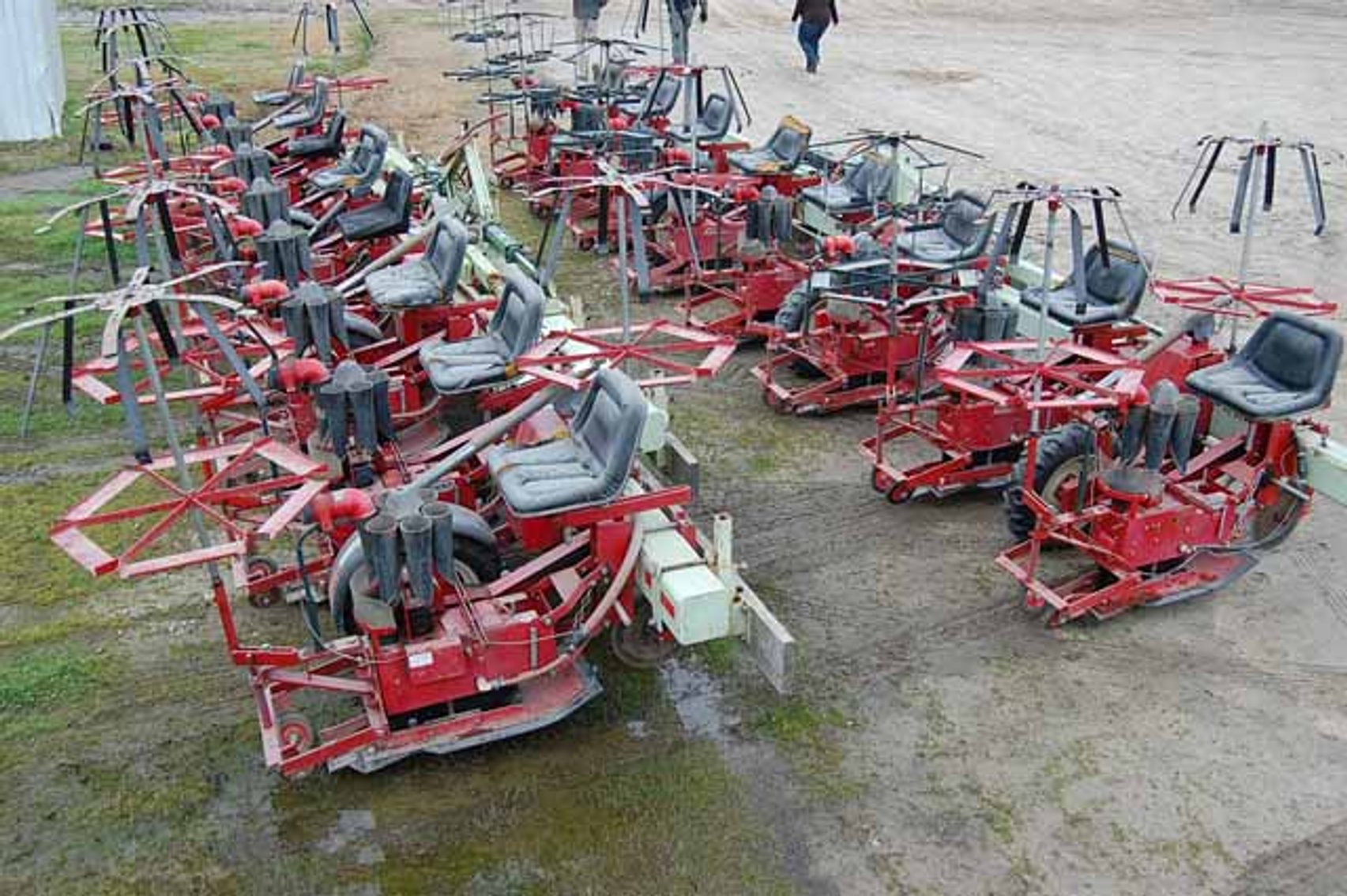 Image for Clay Strickland Farms (Tobacco Only)