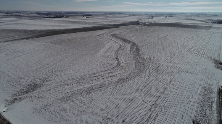 Image for Sac County, Iowa Farmland Auction!