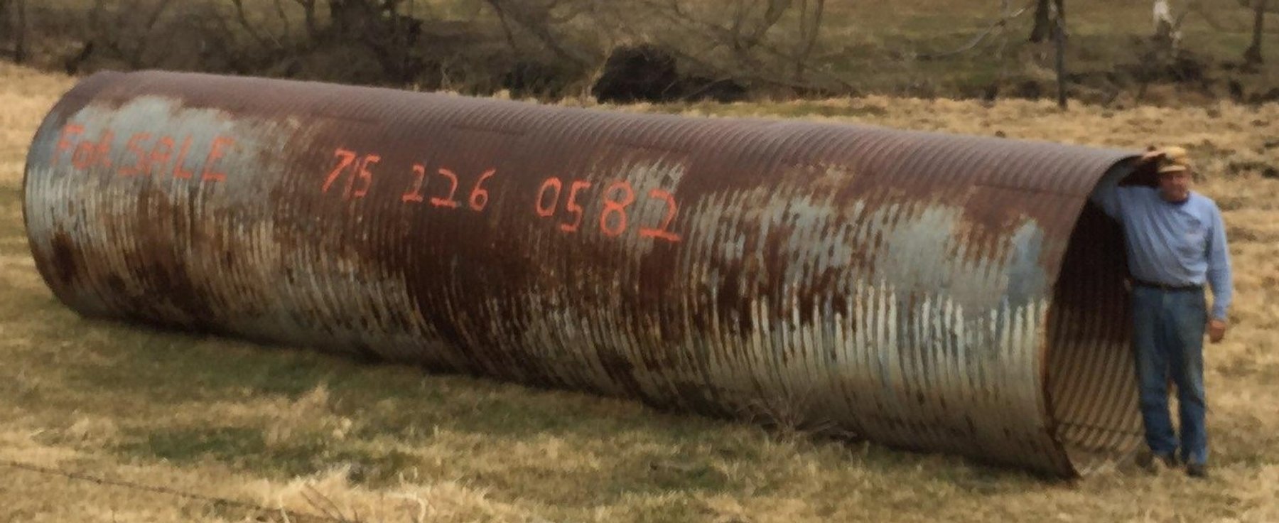 Image for Golden Triangle Consignment Auction