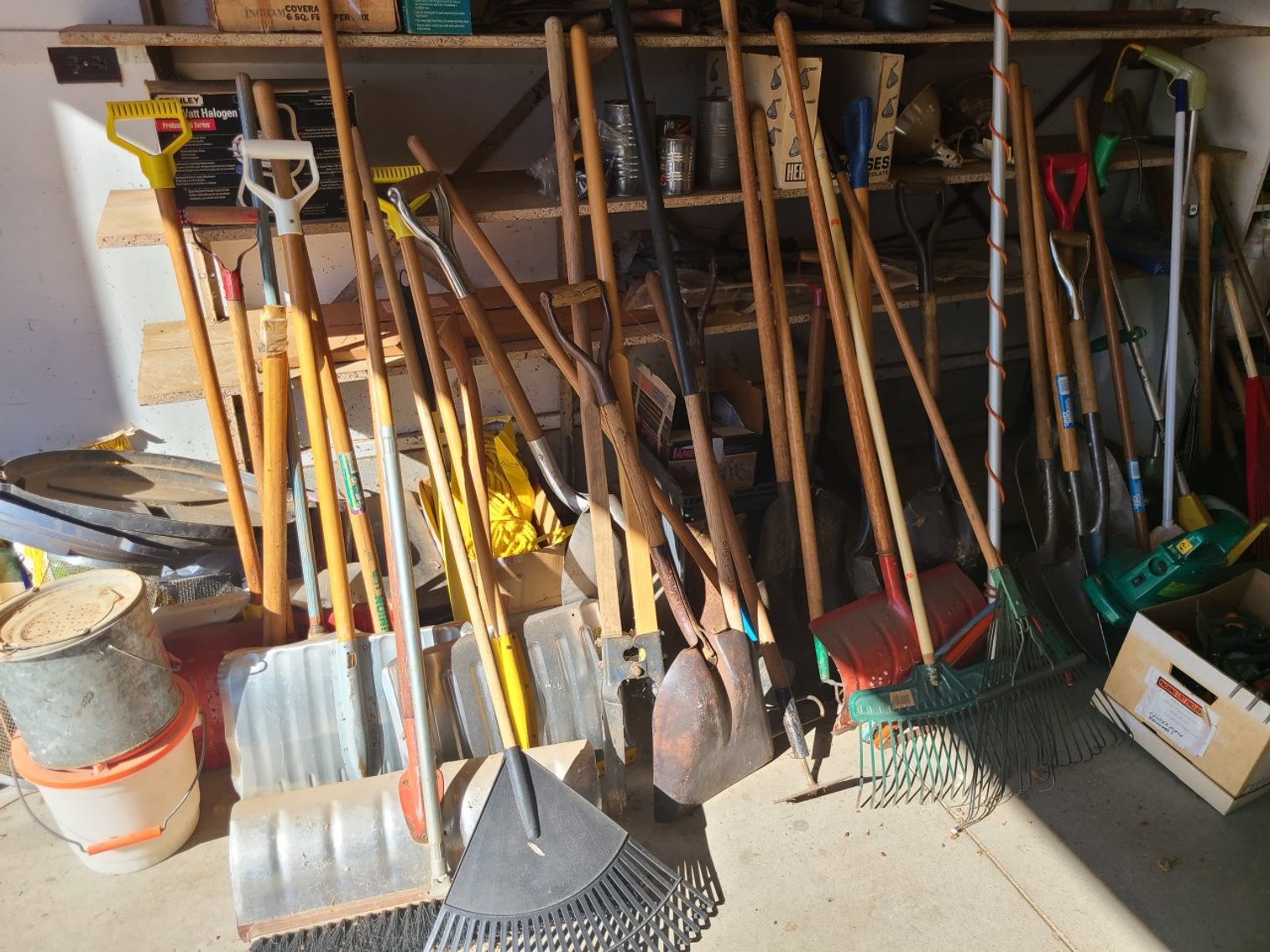 Image for Herb & June Reis Auction