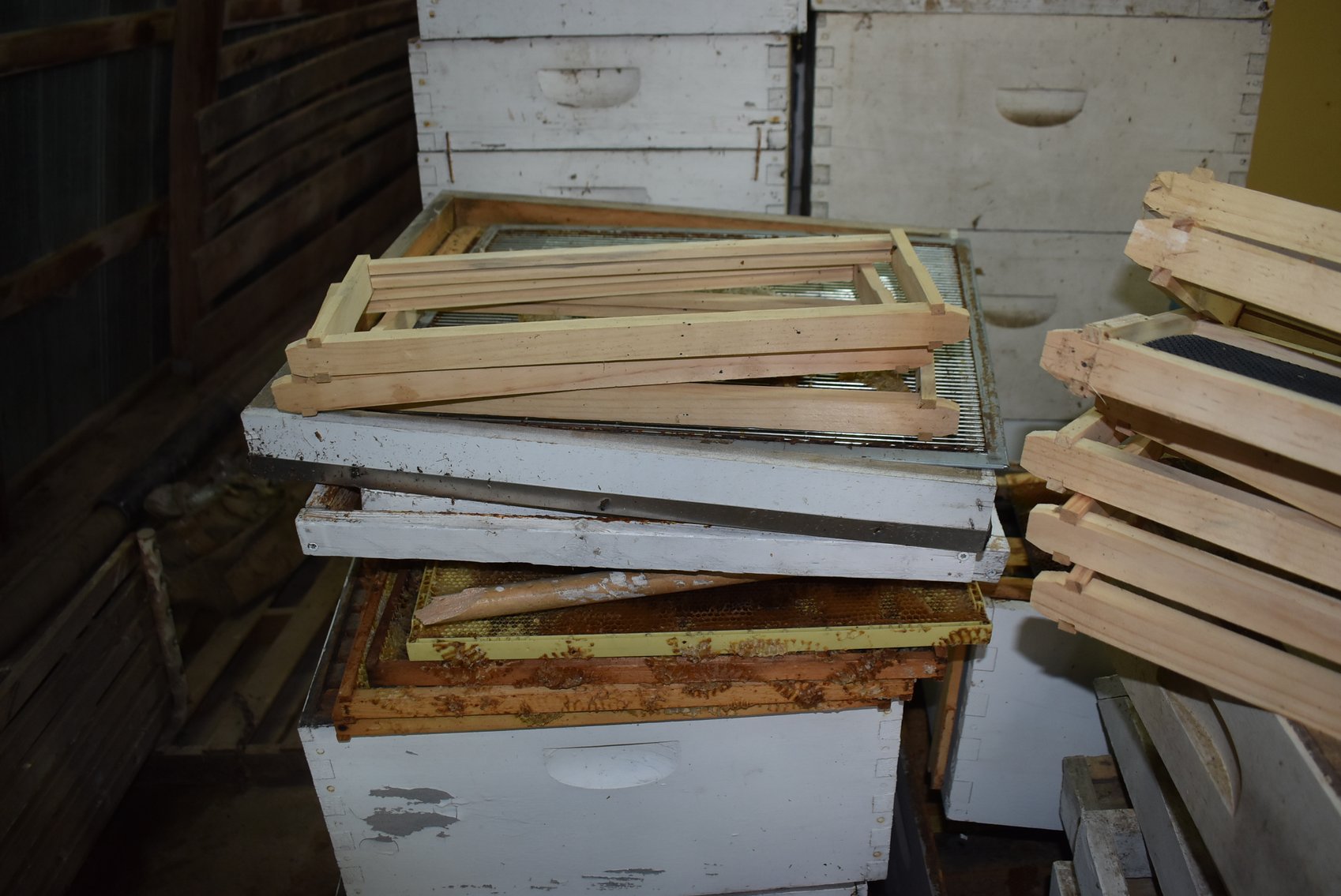 Image for Brad & Linda Kernan