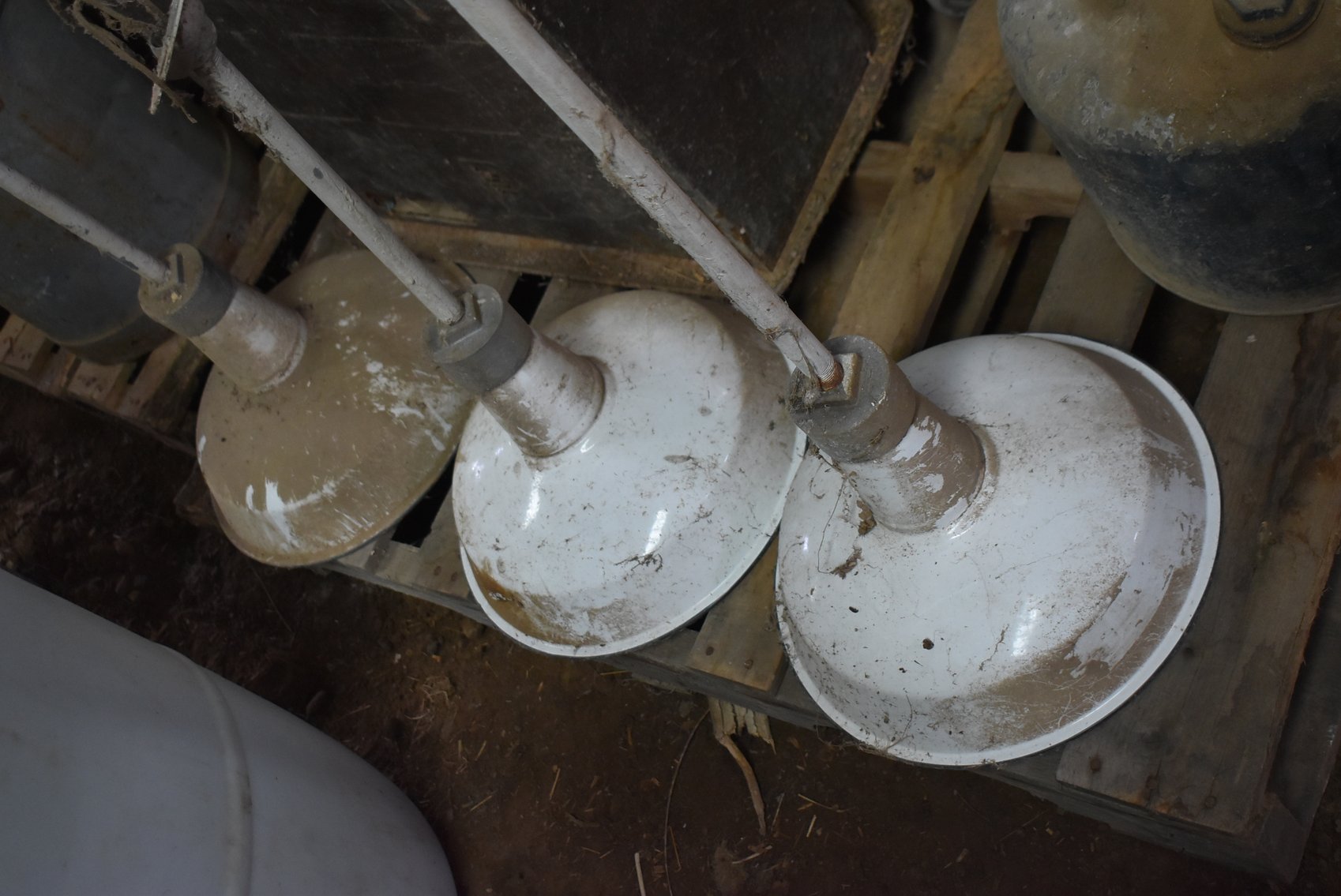 Image for Brad & Linda Kernan