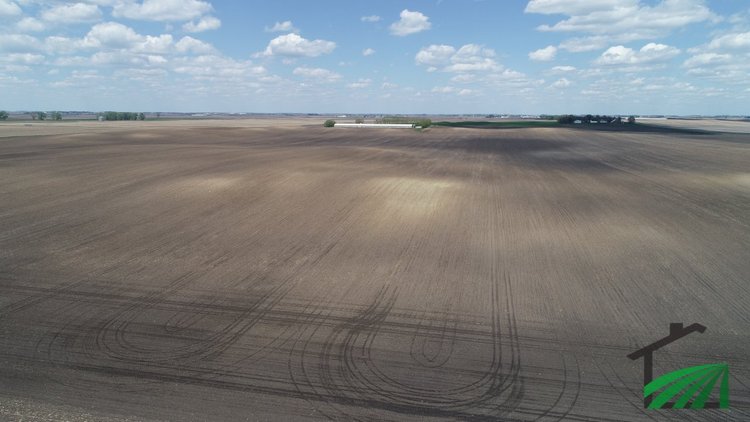 Image for Buena Vista County Farmland Auction!