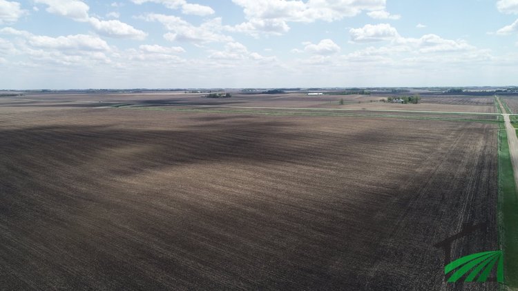 Image for Buena Vista County Farmland Auction!