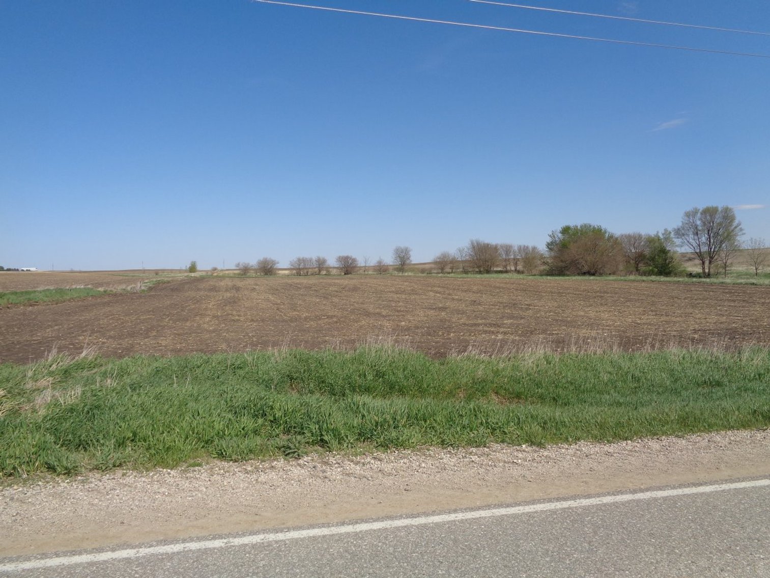Image for Carroll County, IA Farmland & Acreage